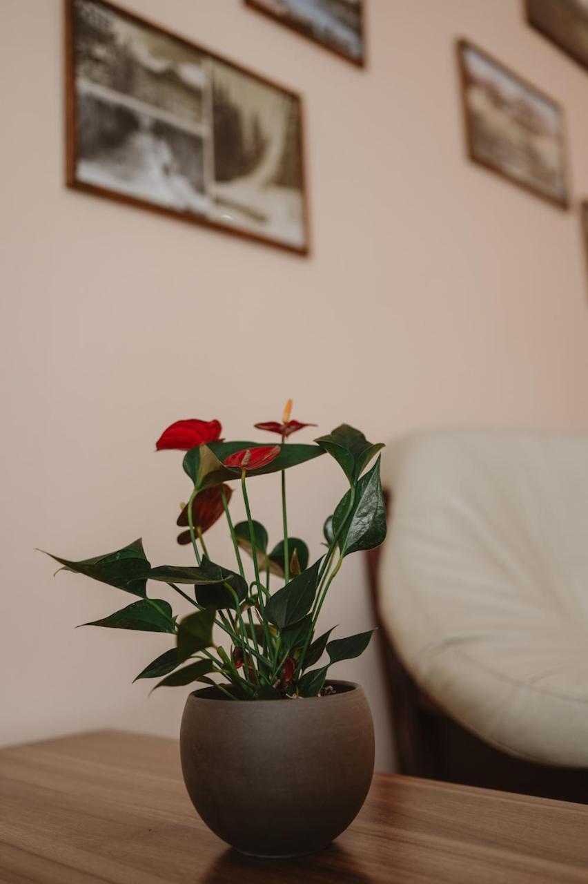 Solisko Hotel 4*